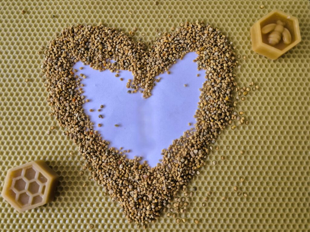 Węza, pyłek, świeczki