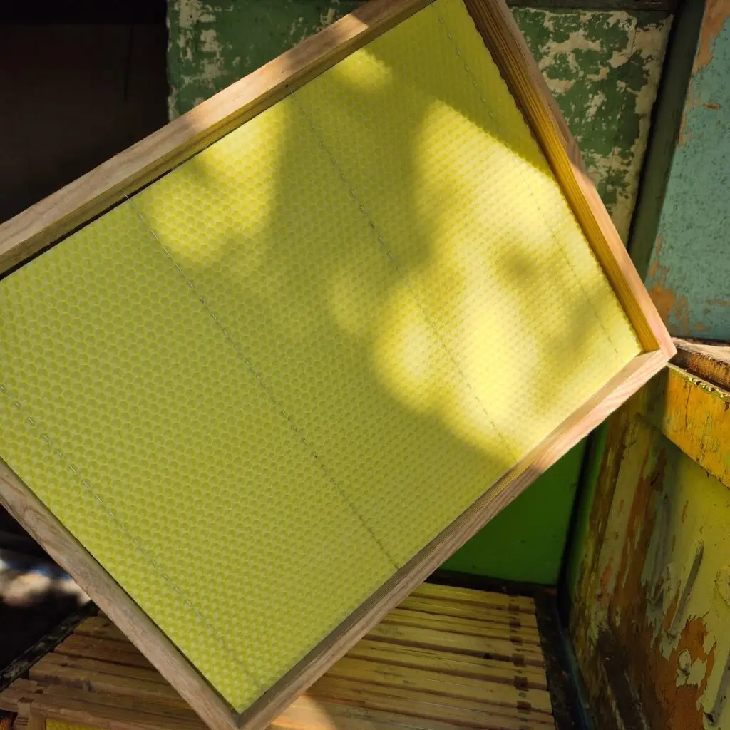 Węza własnej produkcji