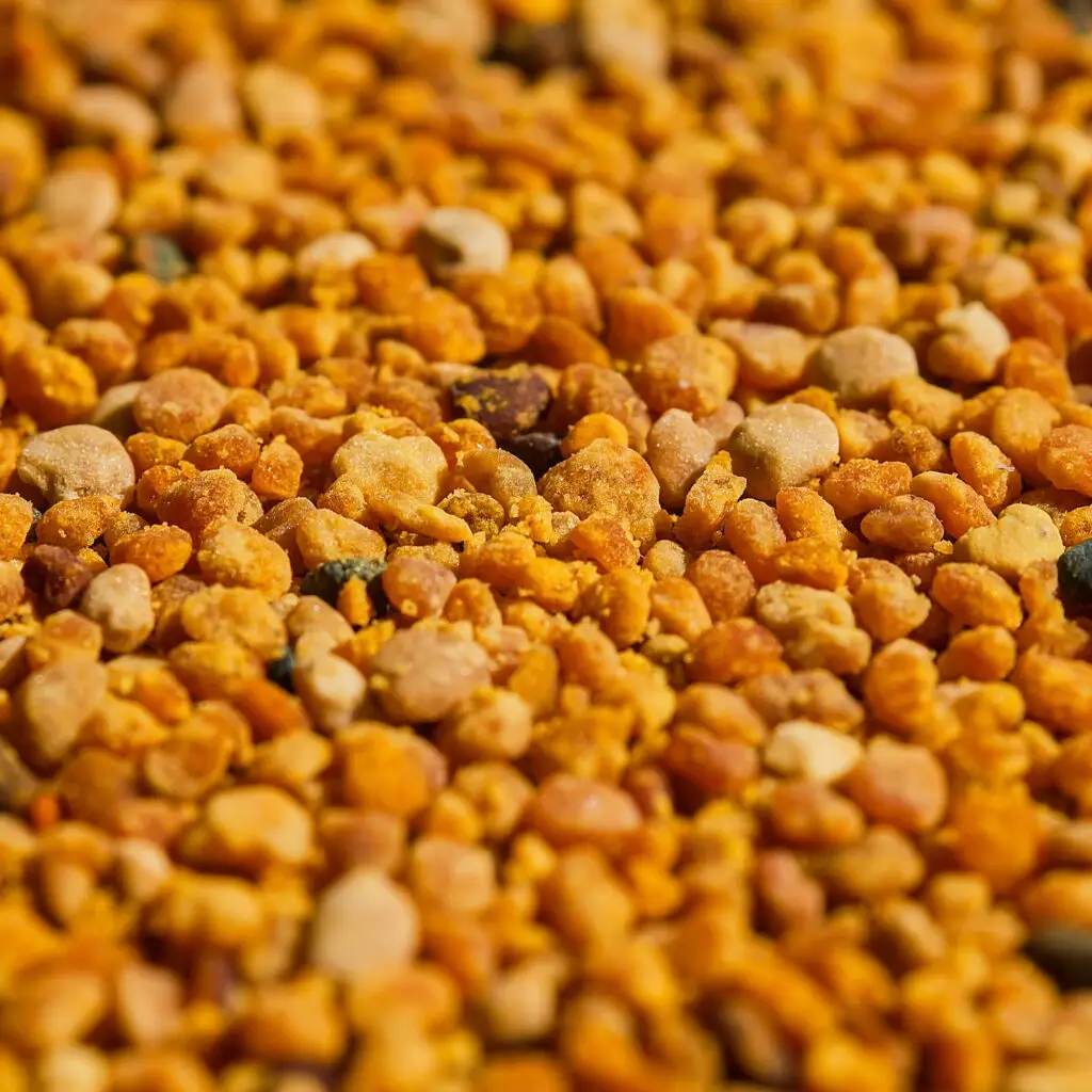 Pyłek pszczeli to naturalna bomba witamin, minerałów i białka. Wzmacnia organizm, podnosi odporność i dodaje energii.